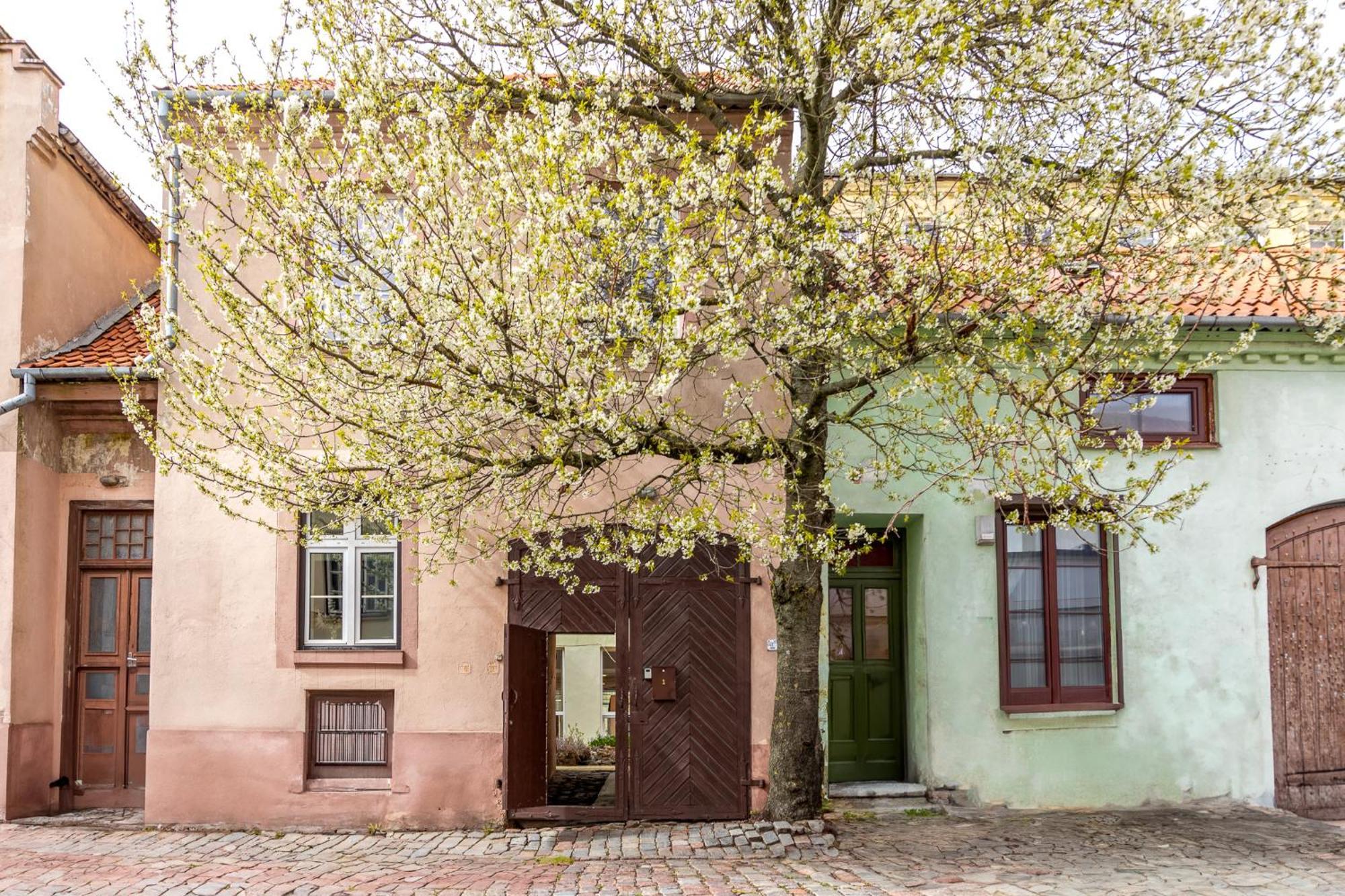 In The Heart Of The Old Town Vip Apartment Клайпеда Екстериор снимка